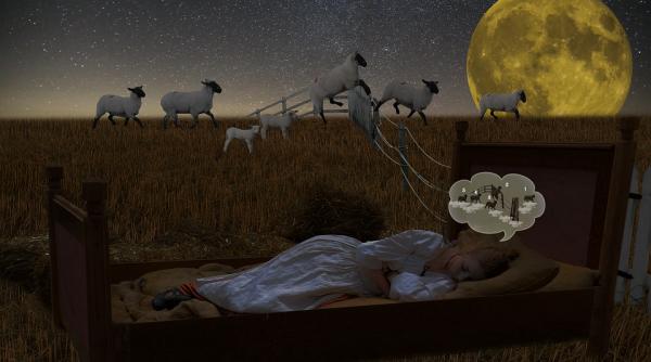 care sunt efectele dureroase ale insomniei