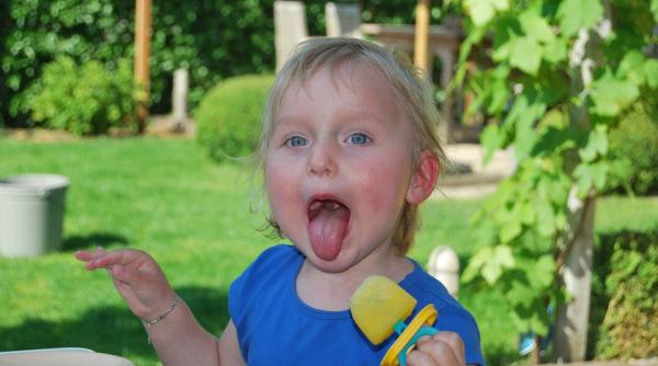 avertizare din partea apc inghetata cu arome artificiale favorizeaza sindromul adhd la copii ce contine acest desert