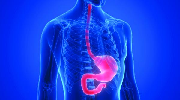 cu bisturiul prin esofag