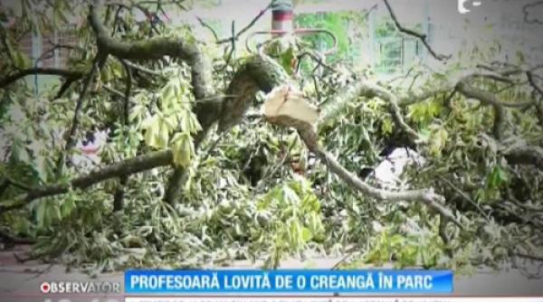 profesoara lovita in cap de doua crengi in timp ce facea fitness intr un parc din alba a murit