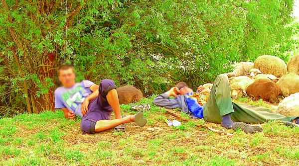 viata de sclav in romania