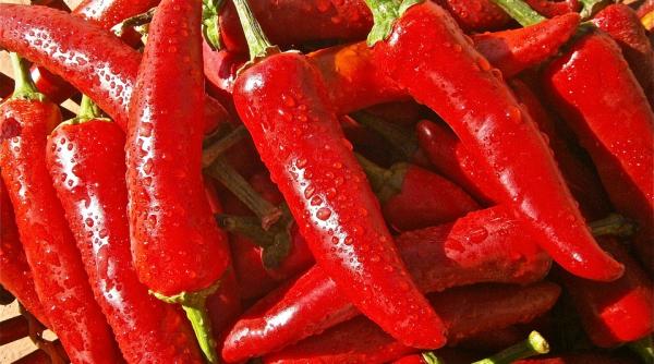 7 alimente minune care nu trebuie sa ti lipseasca din dieta de slabit