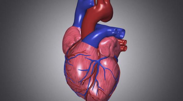 afectiunile valvulare ucigasii tacuti