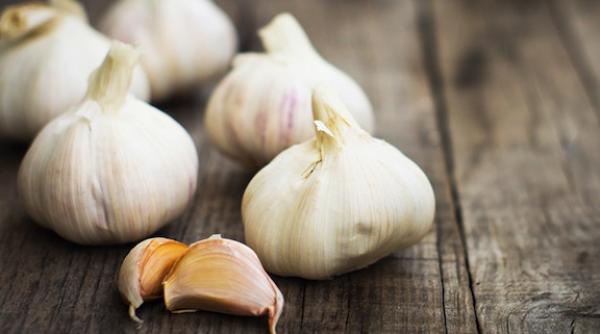 usturoiul previne aparitia bolii alzheimer