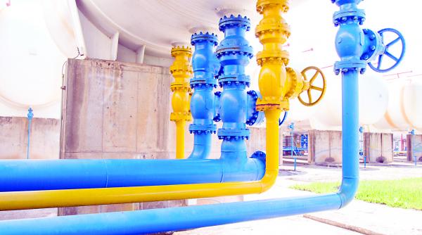 transgaz medias si a diminuat profitul