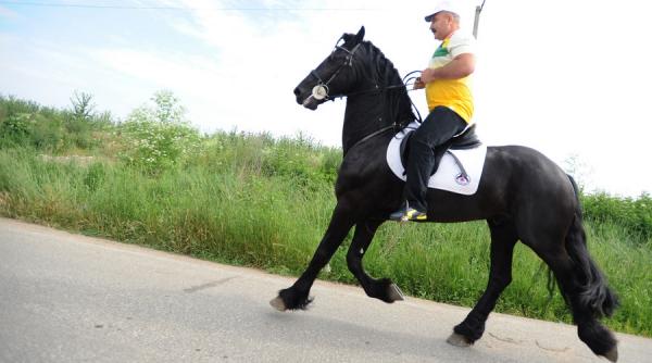 leii lui nutu camataru au facut pui