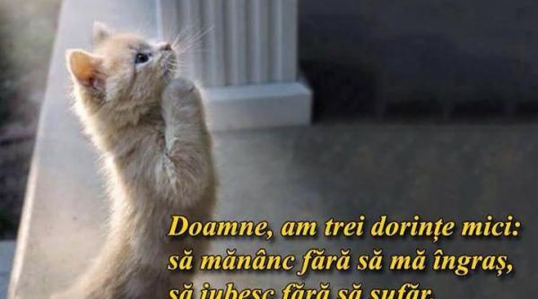 10 exemple de alimente care stimuleaza metabolismul lent