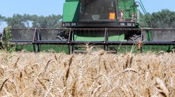 record la productia de grau