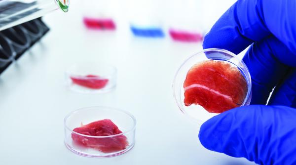 carnea de laborator in rafturi din 2021