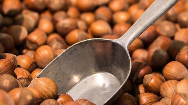 de ce e bine sa mananci alune de padure