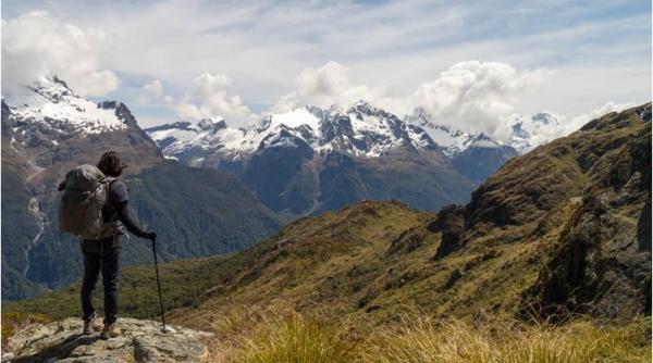 o vacanta in noua zeelanda a devenit cosmar pentru o cehoaica