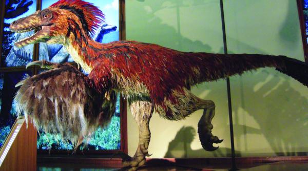 ragetul dinozaurilor doar in filme