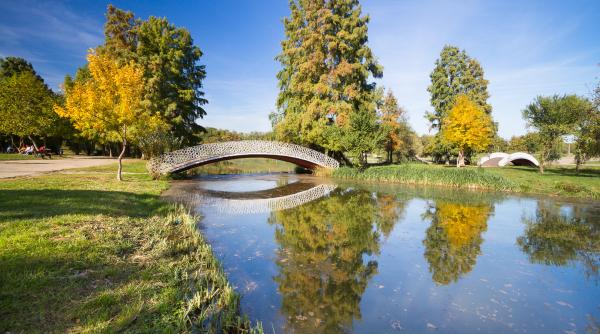 jandarmii au gasit o adolescenta inconstienta in parcul tineretului din bucuresti