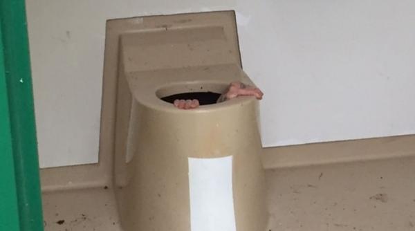 salvat de pompieri dupa ce si a pierdut telefonul intr un closet