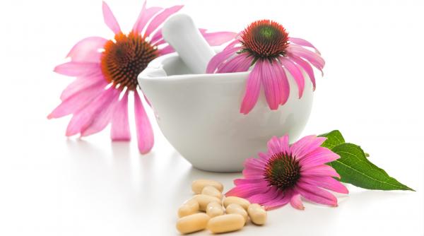 naturisme planta campioana a imunitatii