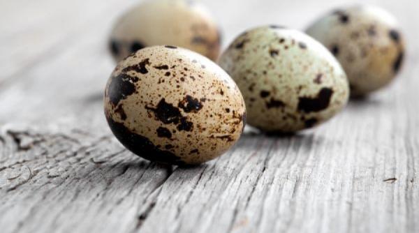 tratamente naturiste ouale de prepelita beneficii terapeutice