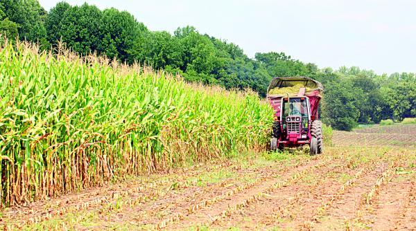 facilitati pentru agricultori