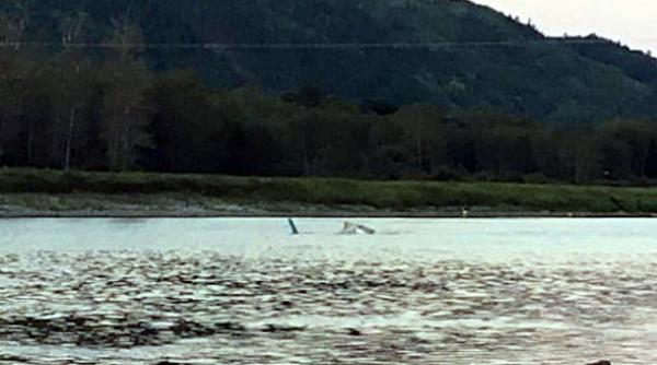 canada un elicopter a lovit un cablu de inalta tensiune accident soldat cu doi morti