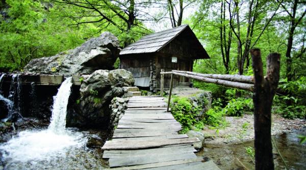 eftimie murgu satul morilor de apa