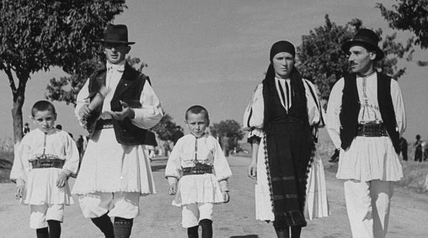 ghidul bunelor maniere cum salutam