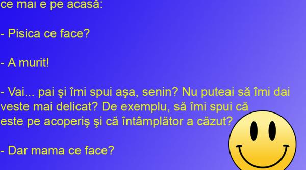 bancul zilei 3 persoane 2 vesti 1 animal sau cand pisica nu i acasa unde e soacra