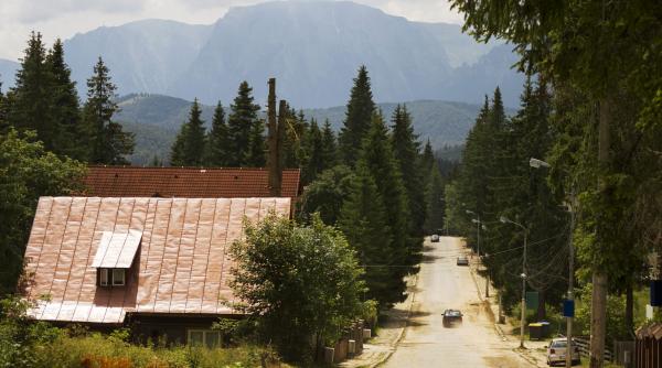 florica microsoft implicat in retrocedarile ilegale din predeal