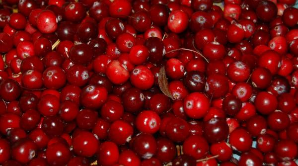 sanatatea curata din curtea ta