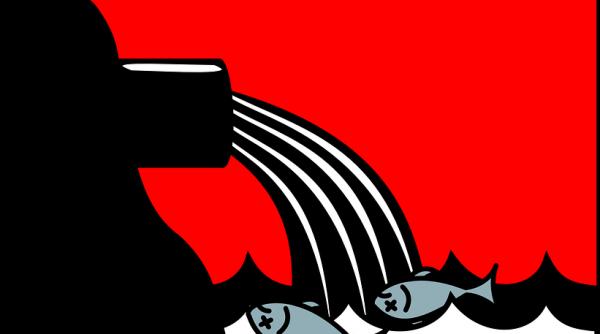 48 de milioane euro va imprumuta romania de la bird