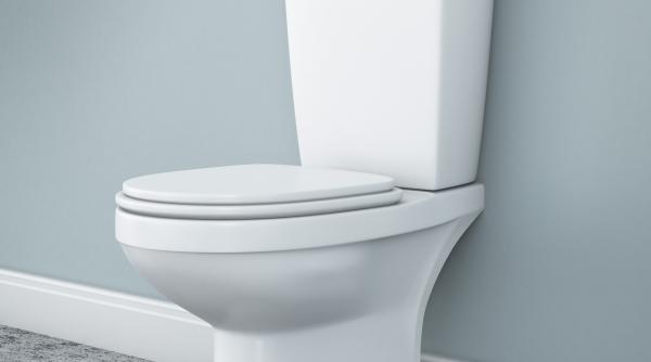 romania are cele mai multe case improprii