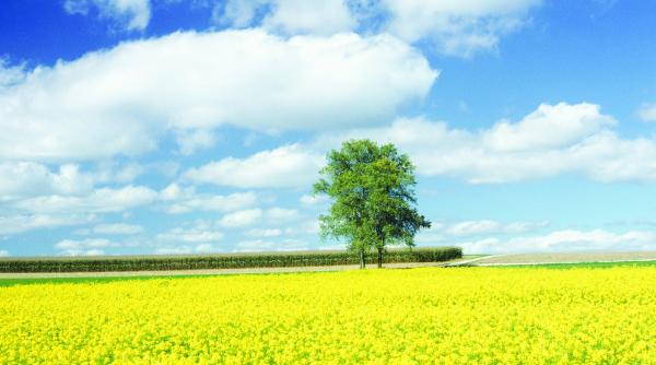 cum se va schimba harta agriculturii