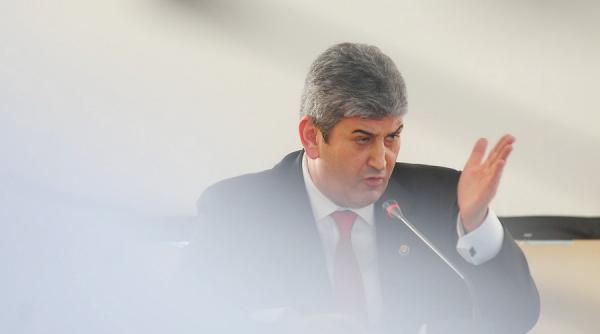 gabriel oprea voi solicita presedintelui senatului sa supuna la vot inca o data cererea dna