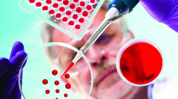 focarele de rujeola au aparut in comunitatile de romi