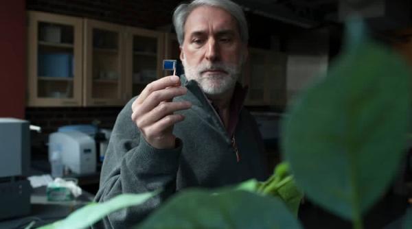 frunza bionica transforma co2 in aer si alcool