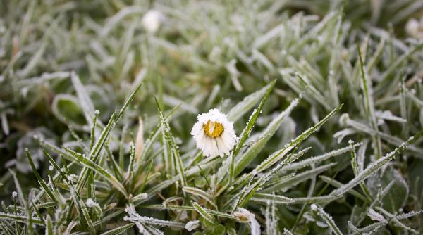 harghita minus 2 2 grade celsius la miercurea ciuc o noua minima a toamnei