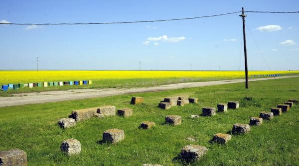 modificarile la legea de vanzare a terenurilor agricole intra pe circuit numai dupa ce vor fi discutate cu fermierii