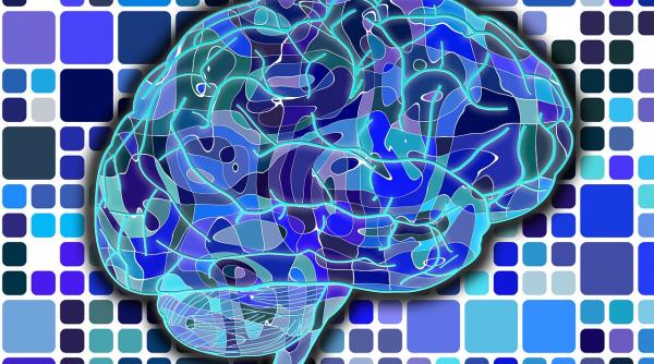 cum ne mentinem creierul in forma