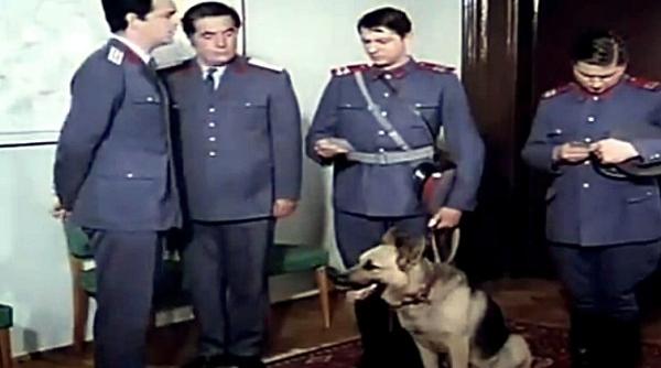 de ce a fost oprita seria brigada diverse