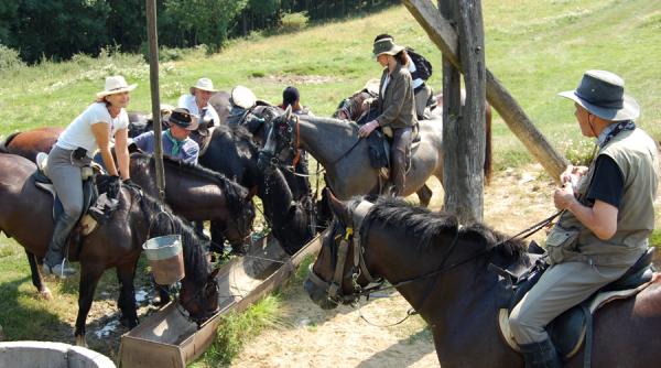 excursii pe cal prin muntii romaniei descopera romania in sa