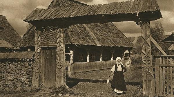 ghidul bunelor maniere ce e permis si ce nu se cade sa faci pe strada pe ulita