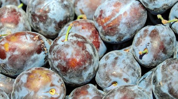 cea mai buna reteta de galuste cu prune