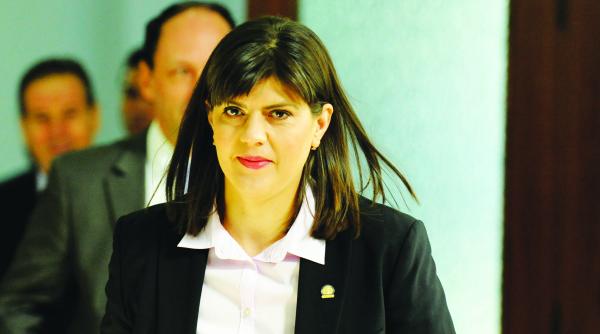 plagiatul codrutei luat la puricat