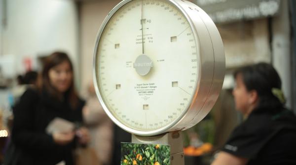 care e greutatea ideala in functie de greutate