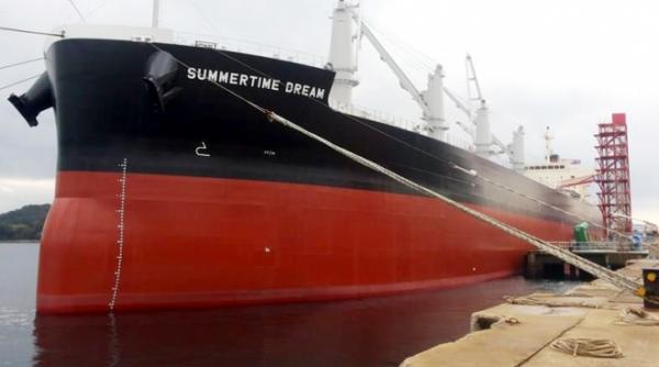 ancheta dna in portul constanta cum sunt controlati vamesii care ar fi primit mita de la capitanii vapoarelor