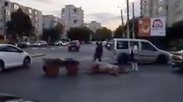 cruzime fara margini un carutas beat si a batut calul dupa ce a intrat cu atelajul intr o masina