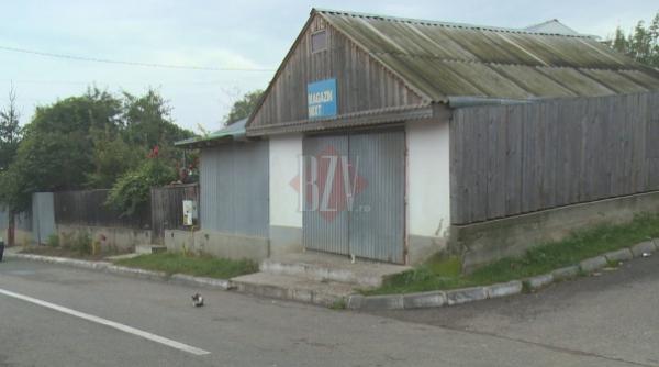 vaslui o pisica nu vrea sa paraseasca locul unde stapana sa si a pierdut viata