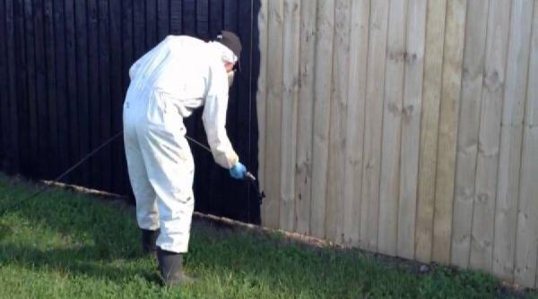 d ale casei vopsitul gardului de lemn