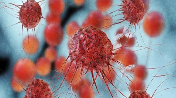 o victorie a lumii stiintifice a fost descoperit tratamentul pentru cancer fara efecte secundare