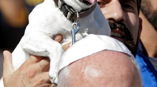 papa francisc fotografiat langa un catel zambitor imaginea a devenit virala