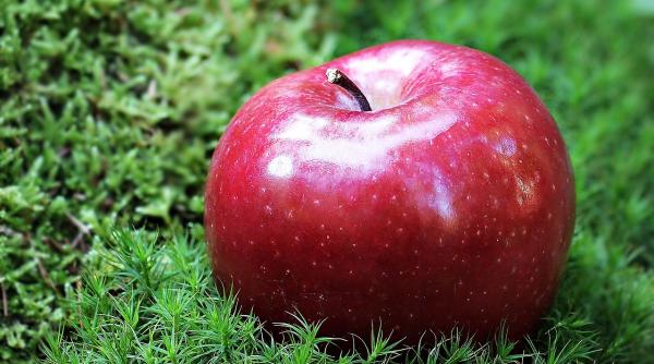 patru fructe pe care ar trebui sa le mananci zilnic