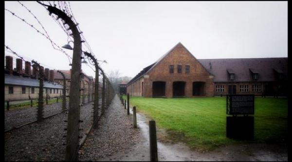 ziua nationala a comemorarii victimelor holocaustului din romania mae aduce un omagiu memoriei victimelor